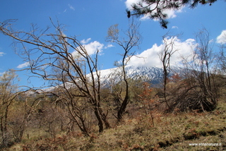 nte Egitto-29-04-2023 11-12-12